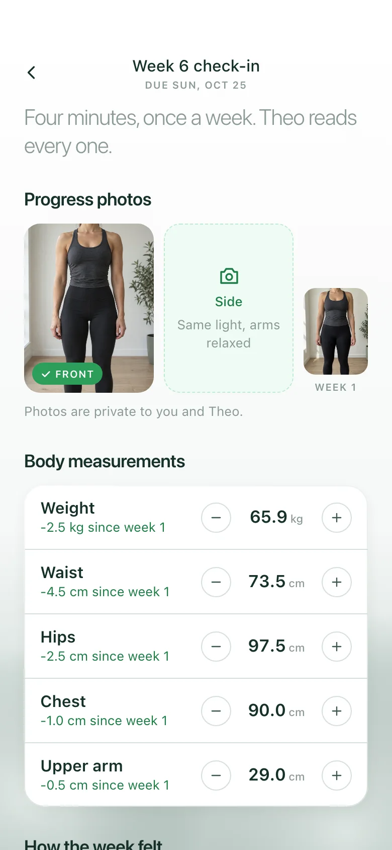 Verdelo (AI Online Coaching & Check-ins) — Check In