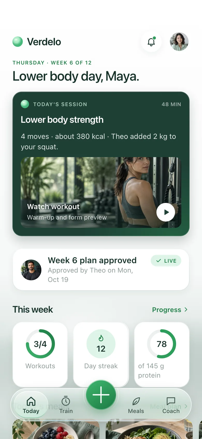 Verdelo (AI Online Coaching & Check-ins) — Home