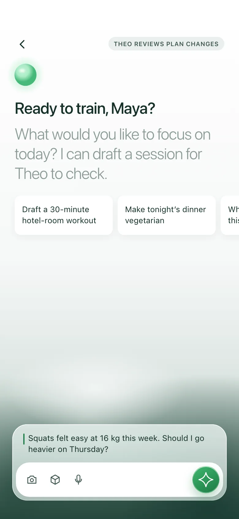 Verdelo (AI Online Coaching & Check-ins) — Assistant