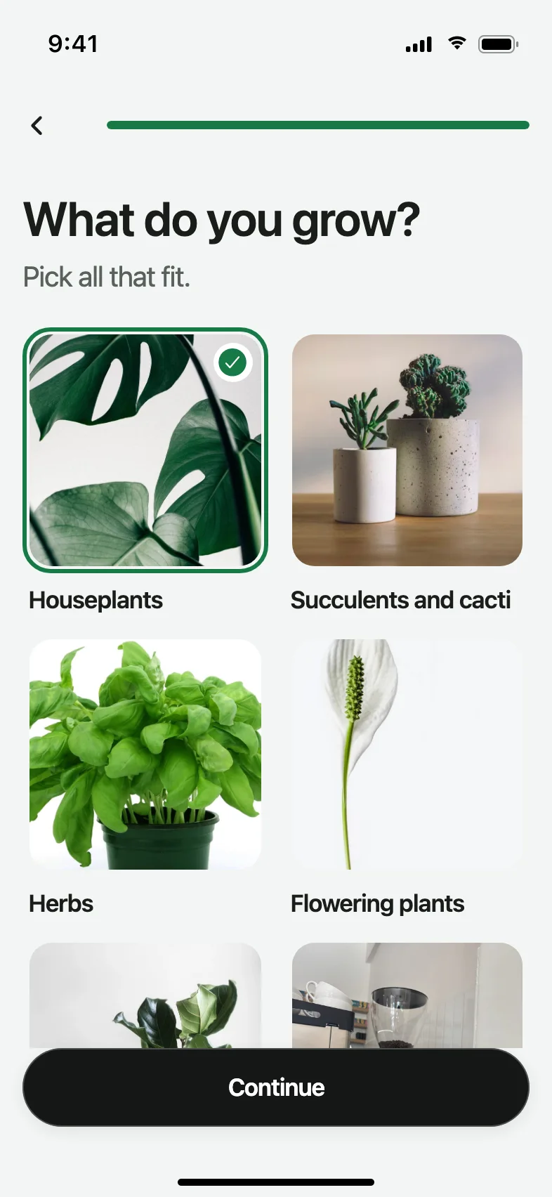 Verdant AI Plant Identifier and Care App — Made for what you grow