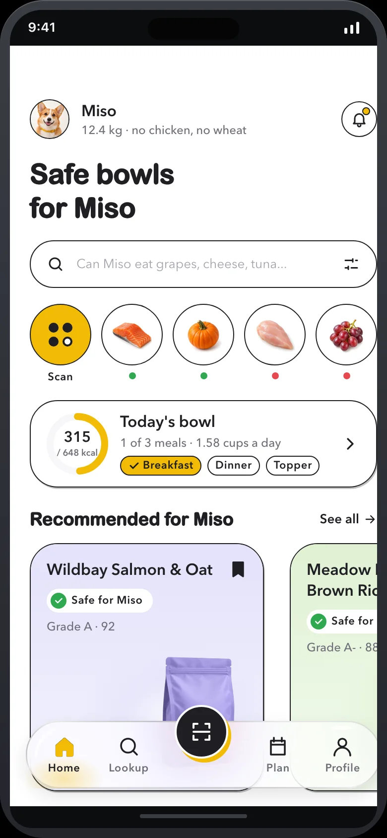 Snoutly (AI Pet Food Scanner) — Home