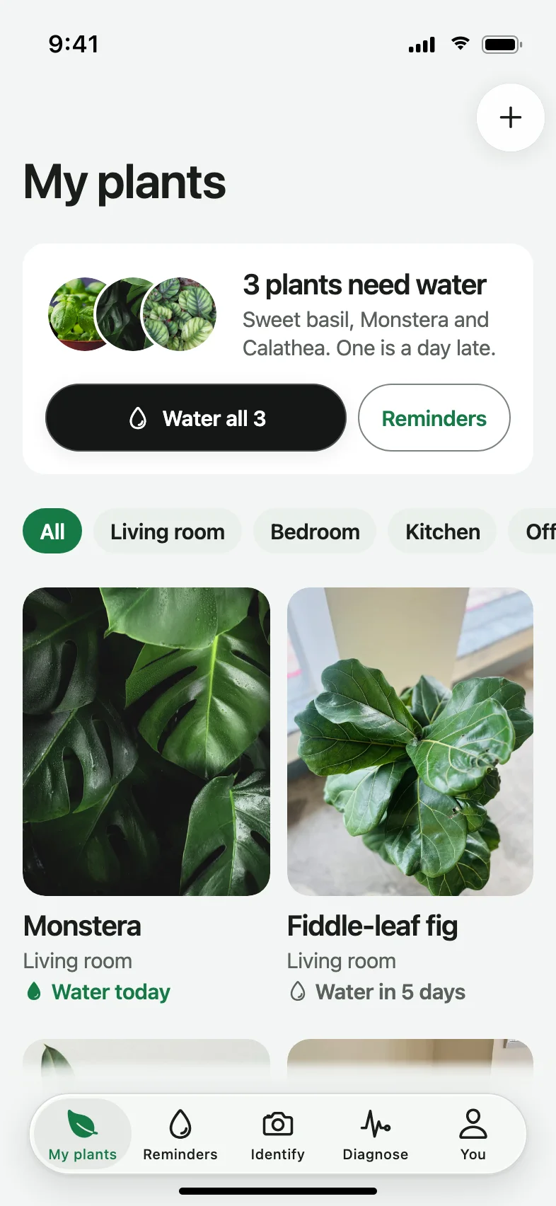Verdant AI Plant Identifier and Care App — Your plants, watered on time