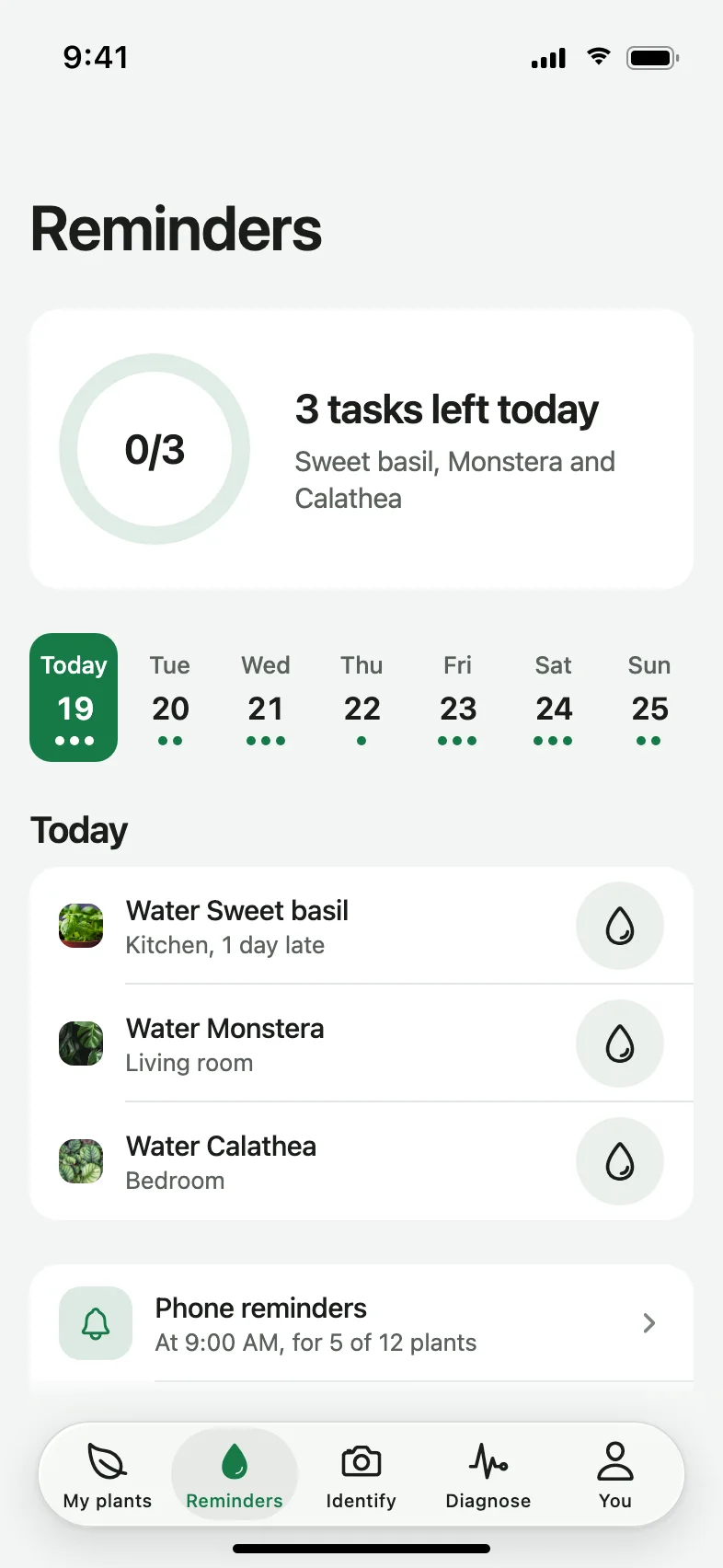 Verdant AI Plant Identifier and Care App — Never miss a watering